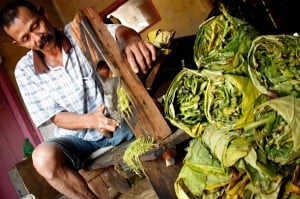 Diskusi Perlawanan Petani Tembaku di Gedung Indonesia Menggugat