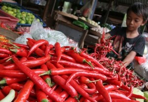 Lonjakan Harga Cabai Merah Dipantau