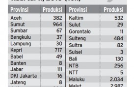 Info Grafis: Produksi Ikan Kerapu Kuartal II/2016