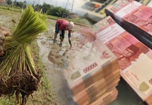 Nilai Tukar Petani di Jabar Naik 0,50%