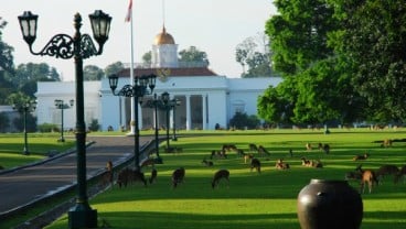 Nasi Goreng Kaki Lima Masuk Istana Bogor