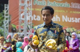 SBY Ingin Ketemu Presiden, Begini Tanggapan Jokowi