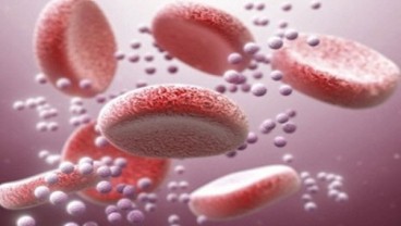 Vaksin Zika Belum Ada, Tunggu hingga 2020