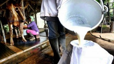 GKSI Minta Harga Susu Dipatok Rp7.000/Liter