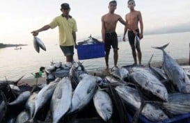 2016, Jumlah Kasus Penolakan AS terhadap Seafood RI Naik