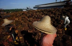 Perkuat Industri Kelapa Sawit Nasional