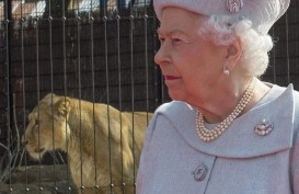 Ratu Elizabeth II Peringati 65 Tahun Bertahta