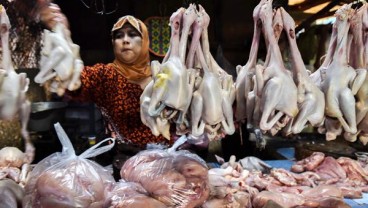 Pemda Bogor Baru Tahu Adanya Disparitas Harga Daging Ayam