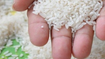 Bulog Jateng Targetkan Pengadaan Beras 602.276 Ton Tahun Ini