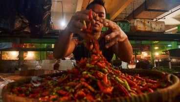 Harga Cabai Rawit Merah di Bojonegoro Rp140.000/Kg