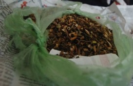 Rokok Berbahan Tembakau Gorilla Beredar di Jateng