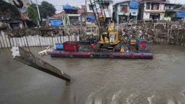 Bukti Kesuksesan Normalisasi Kali Ciliwung