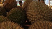 Tempat Jual Duren: Pemprov DKI Resmikan Loksem Pusat Penjualan Durian di Kalibata