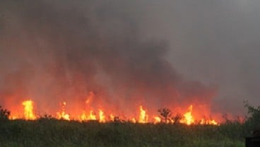 BMKG: Tidak Ada Titik Api Di Jambi