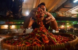 Harga Cabai Rawit Merah di Indramayu Rp160.000/Kg