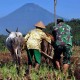 Sulsel Cetak Sawah Baru 2.500 Ha Tahun Ini