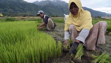 Kendalikan Inflasi, BI Kaltim-Pemda Sinergi Dampingi Petani