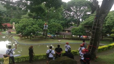 Kelas Menengah Pacu Outbound di Asia Pasifik