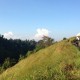 Menikmati 'Surga Tersembunyi' Ubud Bali di Bukit Campuhan