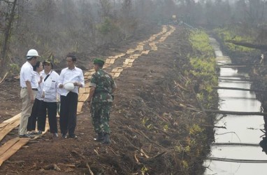 Jokowi Ingin Kalteng Kembangkan Industri Hilir
