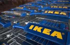 Gandeng Kit Neale, IKEA Luncurkan Koleksi Terbatas