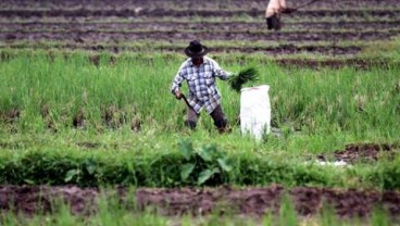 Sulsel Percepat Pendataan UMKM Agribisnis Agar Raih Pembiayaan