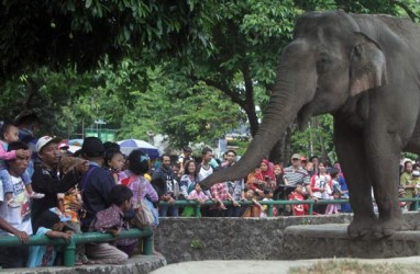 Industri Taman Rekreasi Diyakini Mampu Tumbuh Hingga 15%