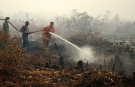 Menteri LHK Teken Empat Permen Turunan PP Gambut