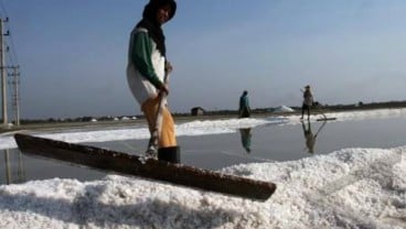 IKM Garam Ikut Terimbas Kelangkaan Bahan Baku