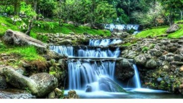 Kebun Raya Bisa Jadi Penghalang Biopiracy