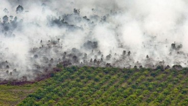 Kalbar Pulihkan 32.400 Ha Lahan Gambut