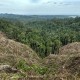 Kementerian LHK Akan Tindak Perambah Kawasan Hutan Rempang Galang