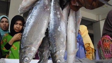 Pasar Ikan Modern: KKP Datangkan Pakar dari Jepang