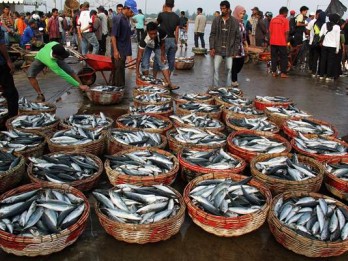 Nelayan : Revisi UU Perikanan Belum Cukup Dorong Pascaproduksi