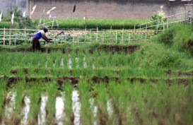 HKTI Dorong Regenerasi Petani Sulawesi Selatan
