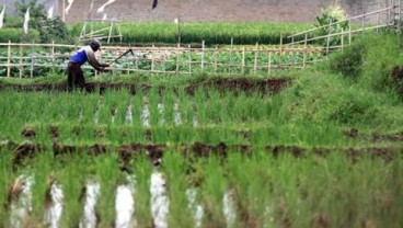 HKTI Dorong Regenerasi Petani Sulawesi Selatan