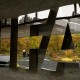 AFC Minta FIFA Selesaikan Konflik Sepak Bola Palestina-Israel