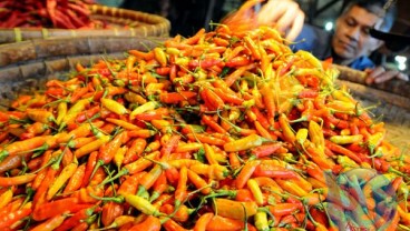Pengepul Jual Puluhan Ton Cabai Rawit dengan Harga Rp181.000 per Kg