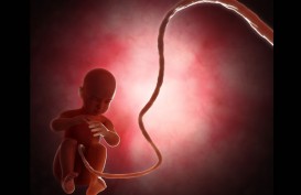 Lahirkan 69 Anak, Perempuan Berusia 40 Tahun Ini Meninggal Dunia