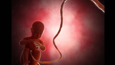 Lahirkan 69 Anak, Perempuan Berusia 40 Tahun Ini Meninggal Dunia