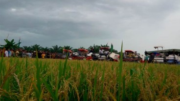 Mentan Panen Padi di Tuban dan Bojonegoro