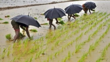 Kaltim Manfaatkan Embung Untuk Optimalkan Potensi Pertanian