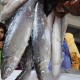 2018, Stok Ikan Diharapkan 11 Juta Ton