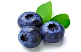 Terbukti, Jus Blueberry Tingkatkan Daya Ingat
