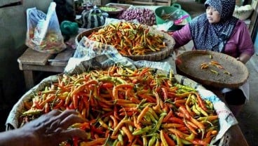 DIRJEN HORTIKULTURA: Tiga Pengepul Cabai Rawit Jadi Tersangka