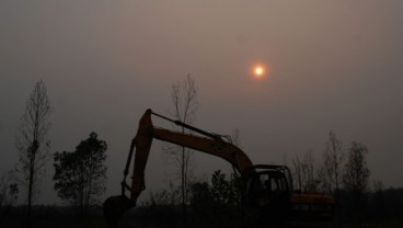 Nilo Engineering Riau Belanja 20 Unit Alat Berat Rp65 Milar