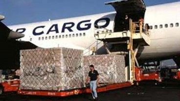 Pacu Logistik Perikanan, Bandara di Indonesia Timur Perlu Dibenahi