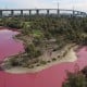 Danau di Australia Berubah Jadi Pink