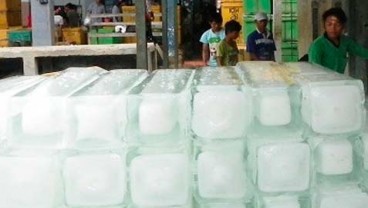 Pasokan Listrik Jadi Kendala Pembangunan Cold Storage