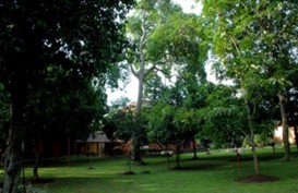 Empat Hutan Kota di DKI Bakal Benahi